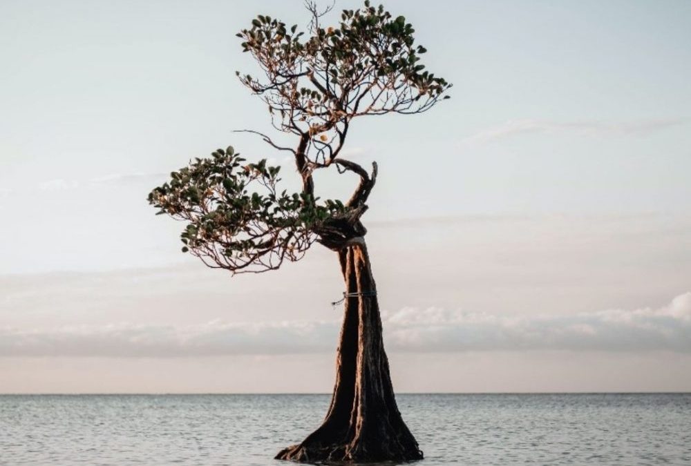 A non-anxious posture rooted in contentment