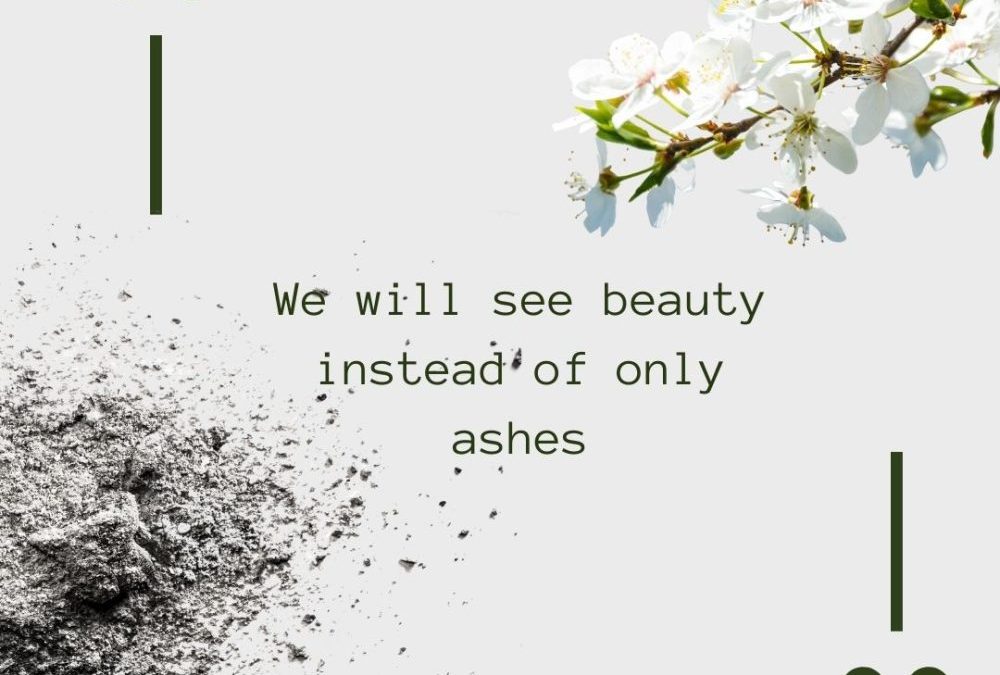 Ashes & Beauty