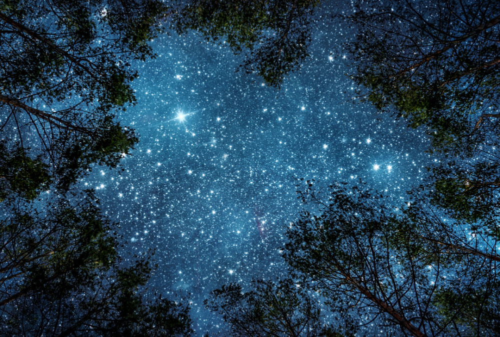EXPLORING THE EDGES OF LOVE & LIGHT