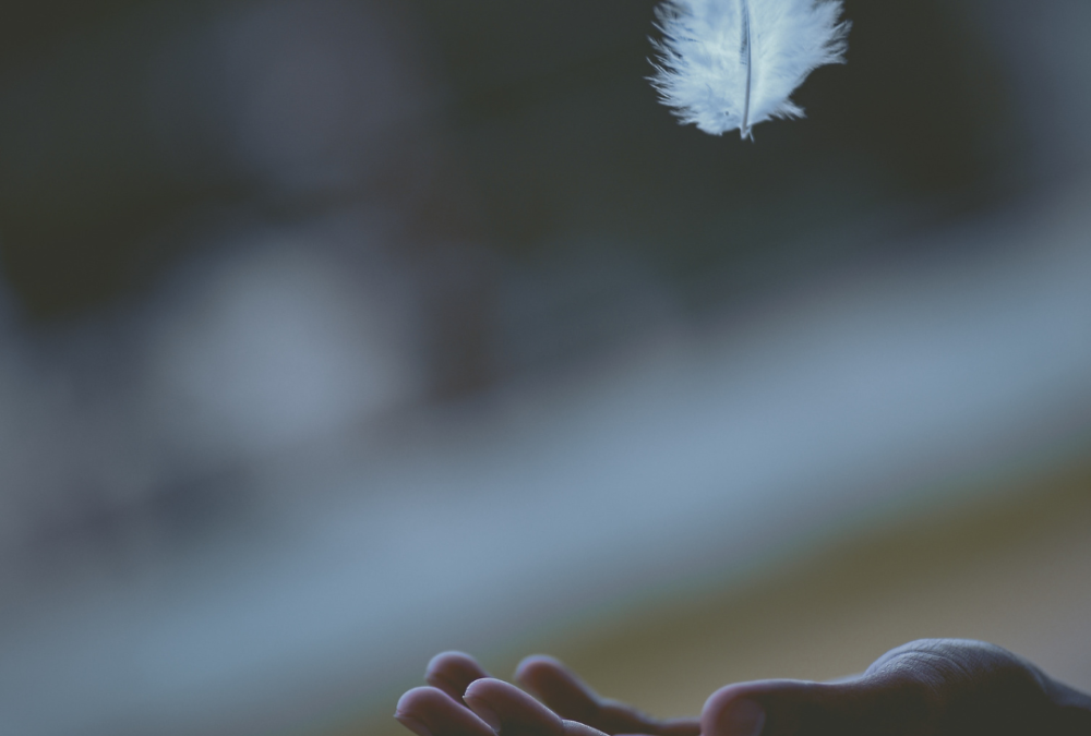 Reaching for the Unfathomable: A Reflection on Peace