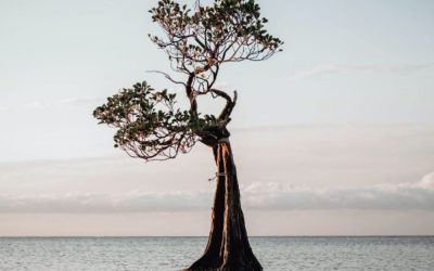 A non-anxious posture rooted in contentment