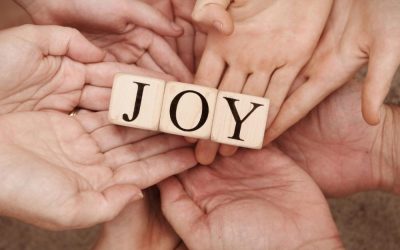 Searching for Joy- A Reflective Exercise