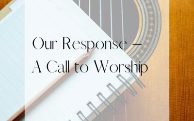 Day Seven & Eight: Our Response