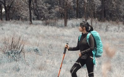 Sojourners, Sheep, Snakes and Doves