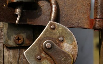 National Directors Year End Reflection 2021