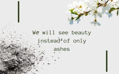 Ashes & Beauty