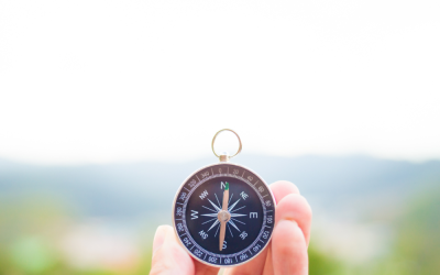 Discovering our Magnetic North