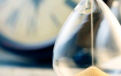 The School of Patience