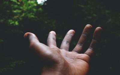 Second Sunday of Advent – PEACE