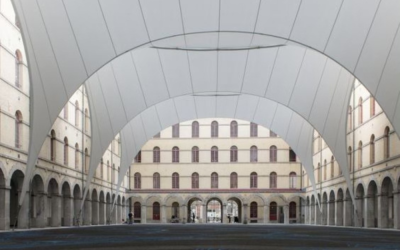 Under the canopy of love