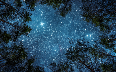 EXPLORING THE EDGES OF LOVE & LIGHT