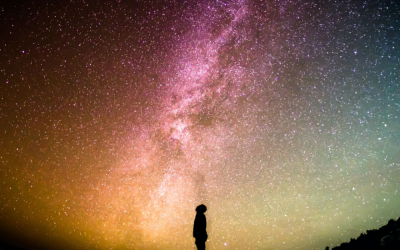 Wonder that leads to Joy