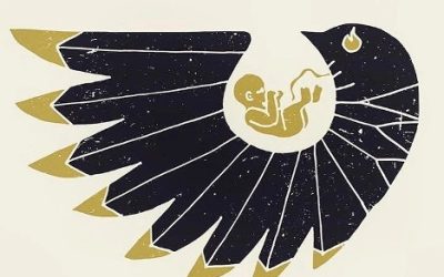 The Risk of Birth: A Reflection on Hope