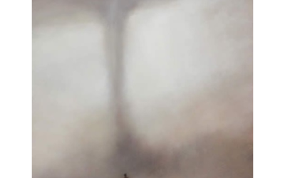 In the time of Monsters