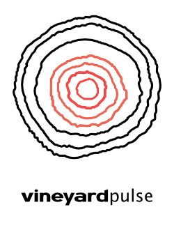 vineyard_pulse_colour_icon_long_label
