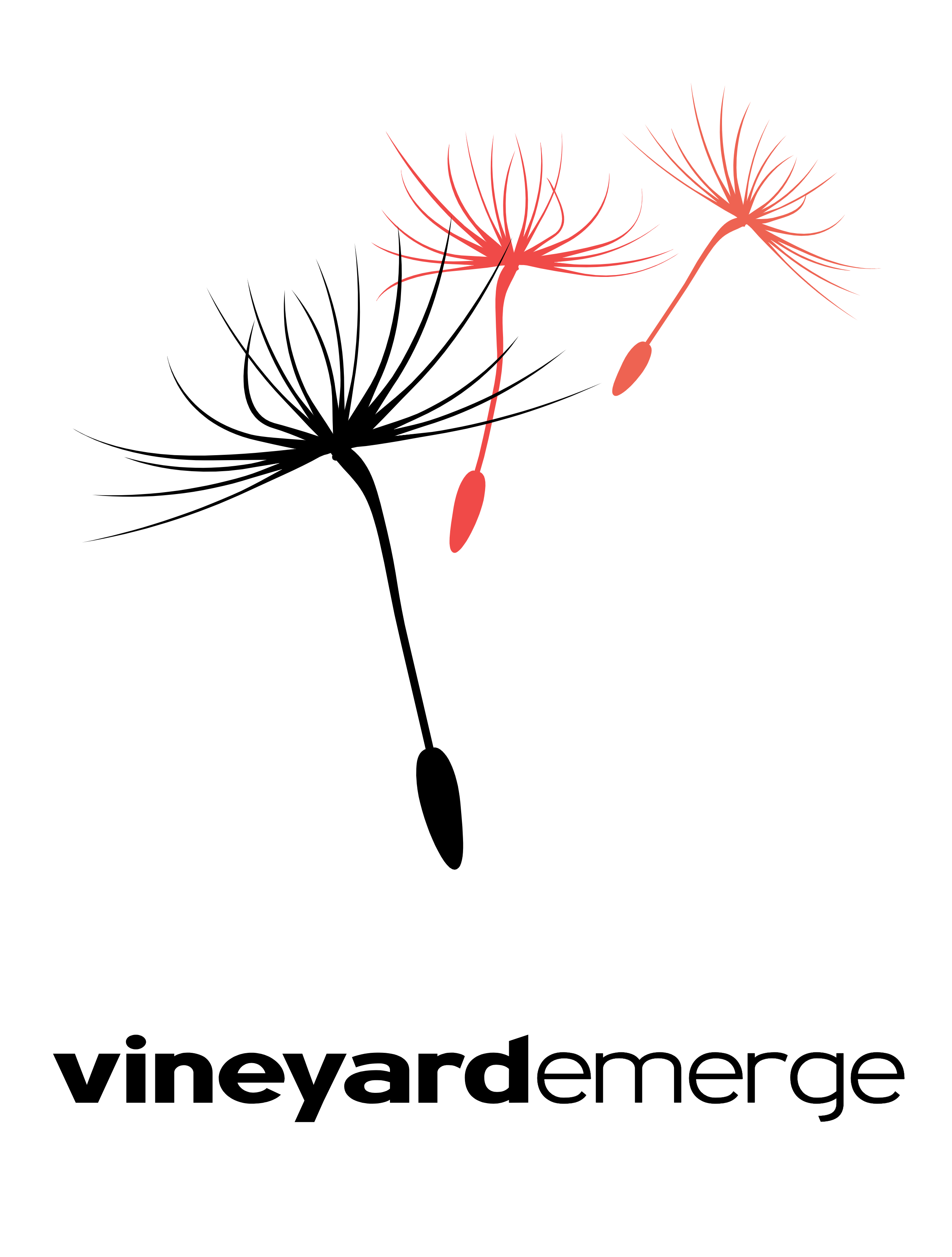 vineyard_emerge_colour_icon_long_label