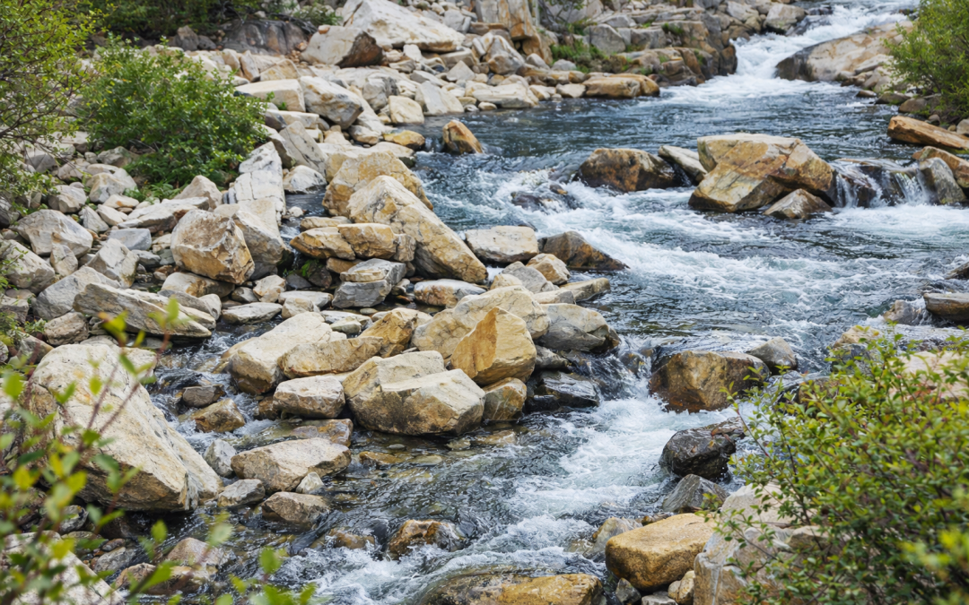 Find a Spiritual Director