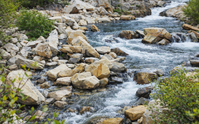 Find a Spiritual Director