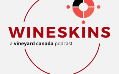 S2 E2 | Life in Jesus | People of the Way